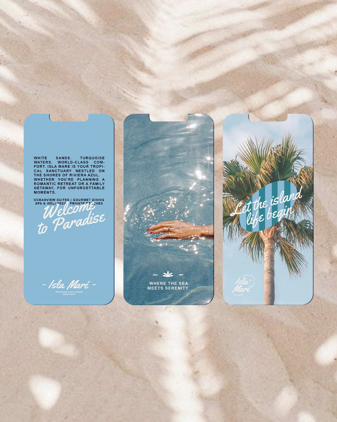Three blue tropical brand designs displayed side by side